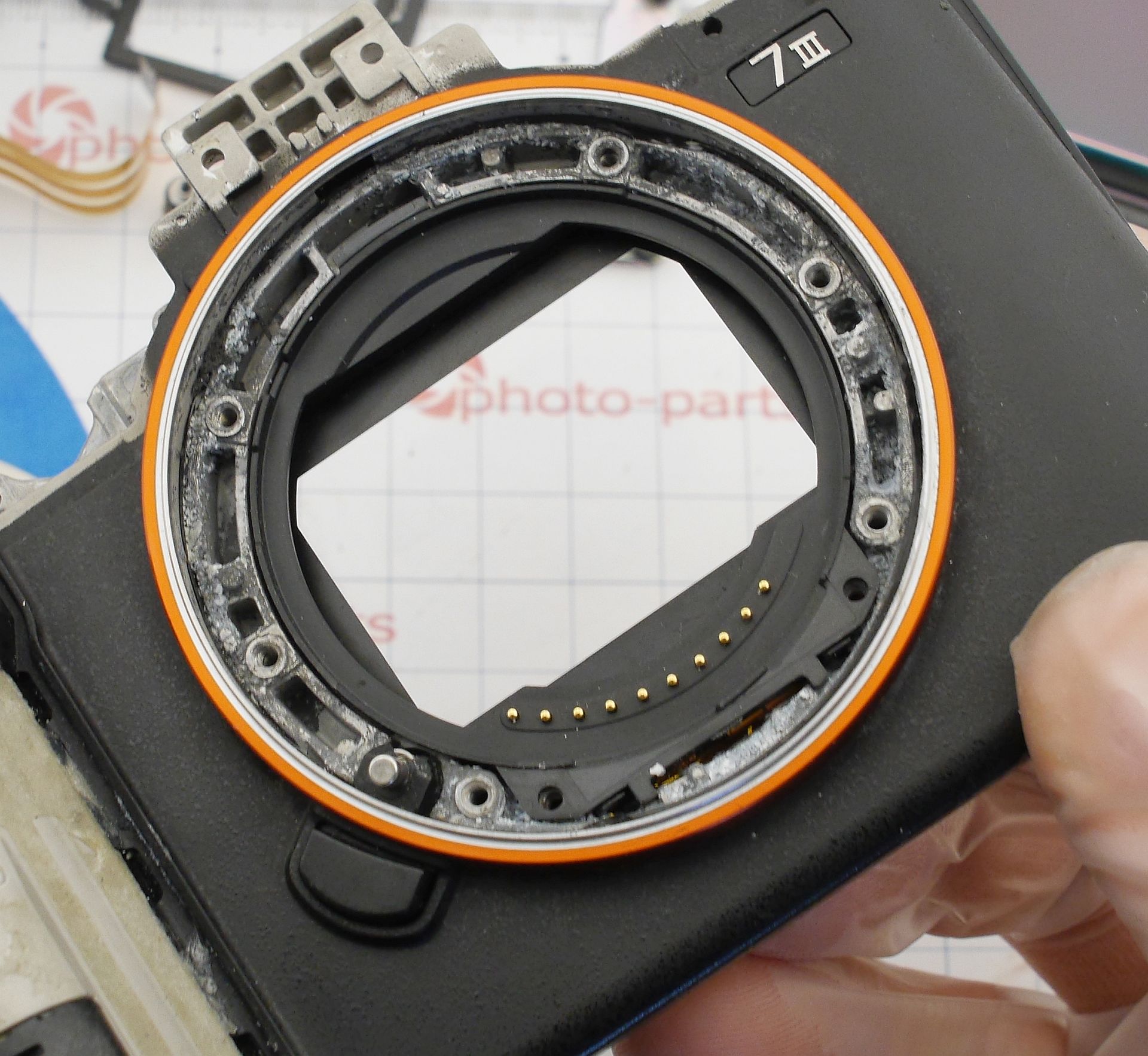Sony A7 mark III - спасение с того света после воды и кривых рук